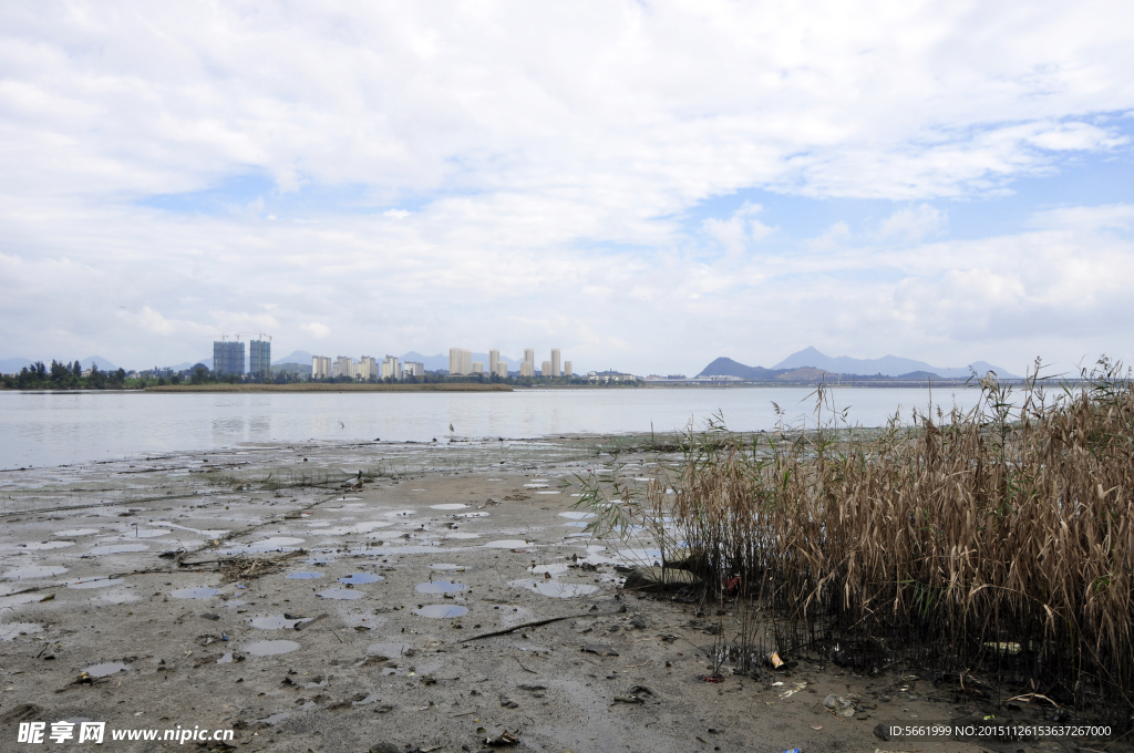 荒凉湿地
