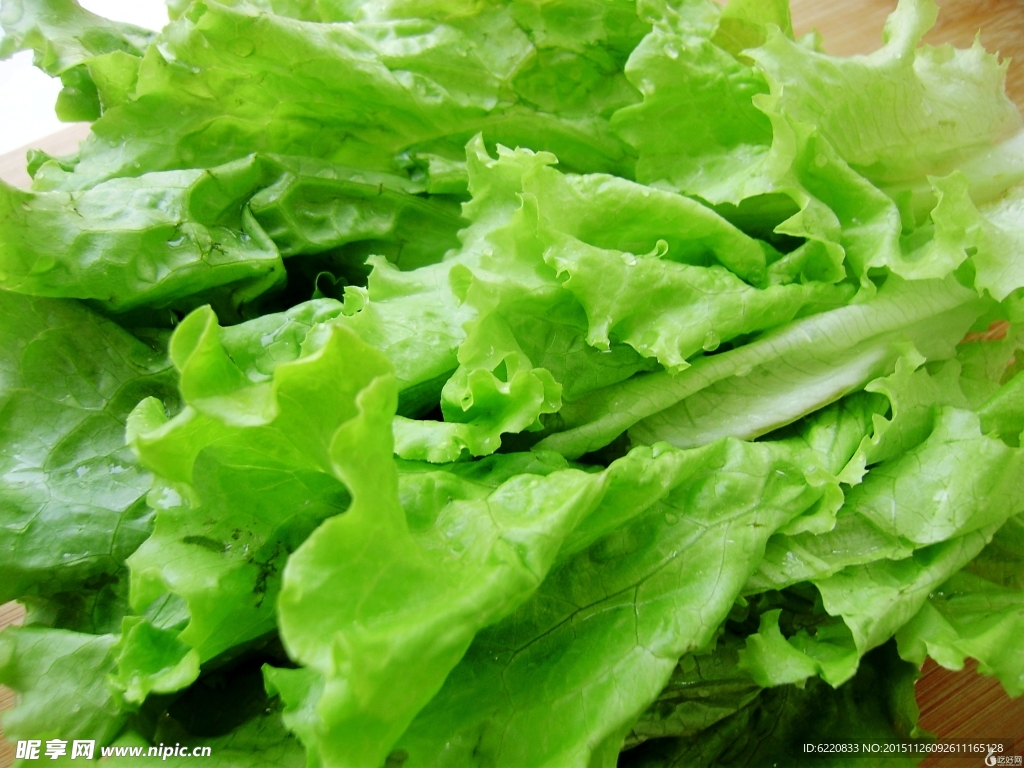 生菜