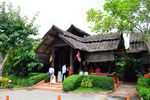 清迈兰花和蝴蝶园