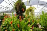 植物园