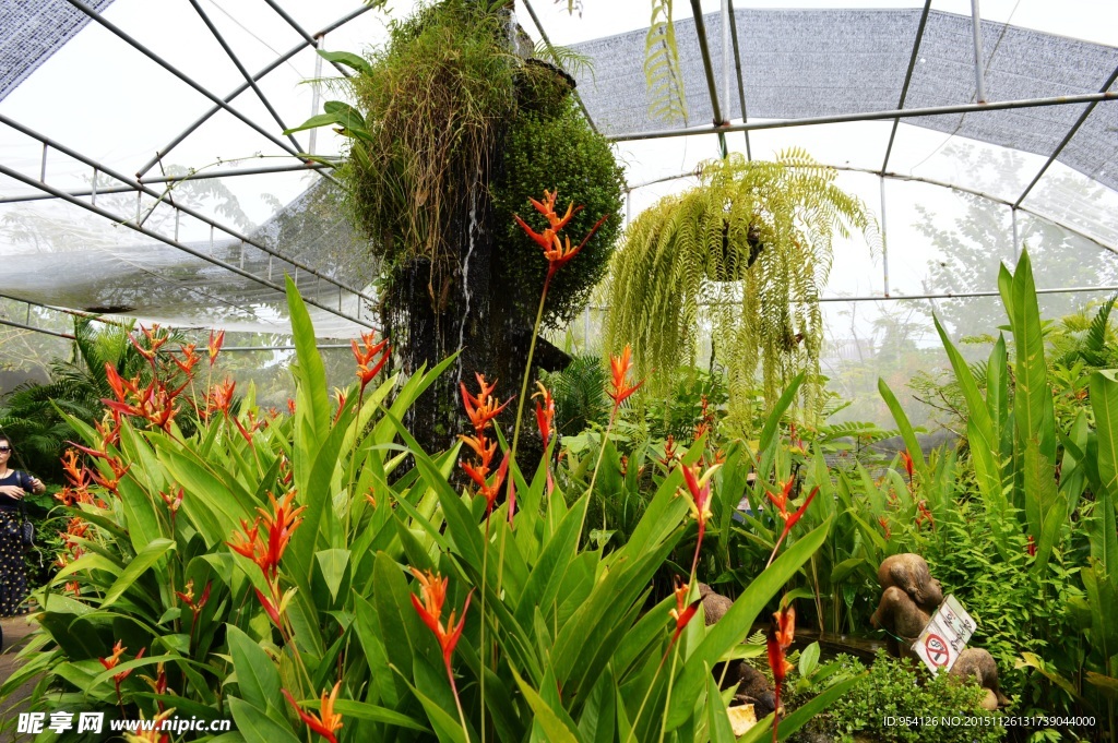 植物园