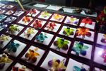 兰花饰品