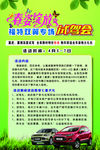 春姿绽放