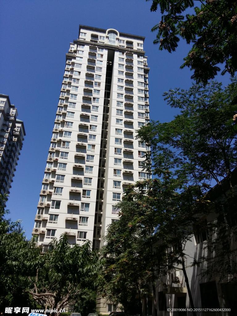 城市高楼