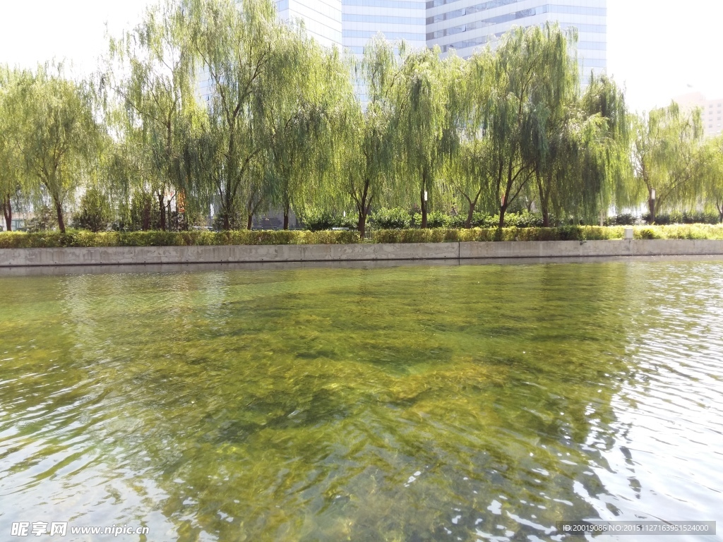 湖景