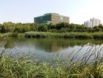湖景