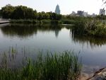 湖景