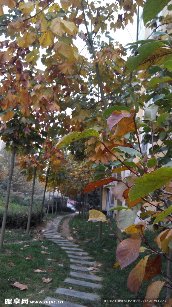 小区风景 漂亮风景