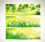 绿色植物banner