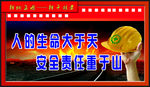 安全