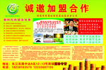 国珍松花粉