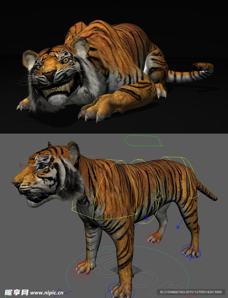 精致老虎maya3d模型有绑定