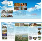 乡村建设四折页