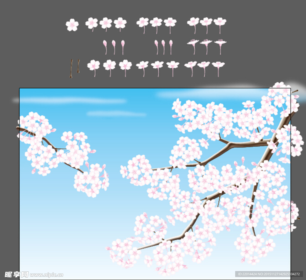 樱花