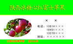 陕西冰糖心红富士苹果