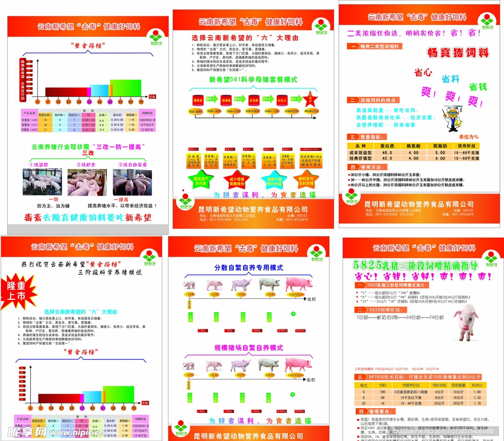 新希望 猪饲料 DM 宣传单