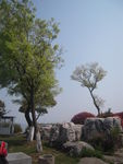 无锡风景