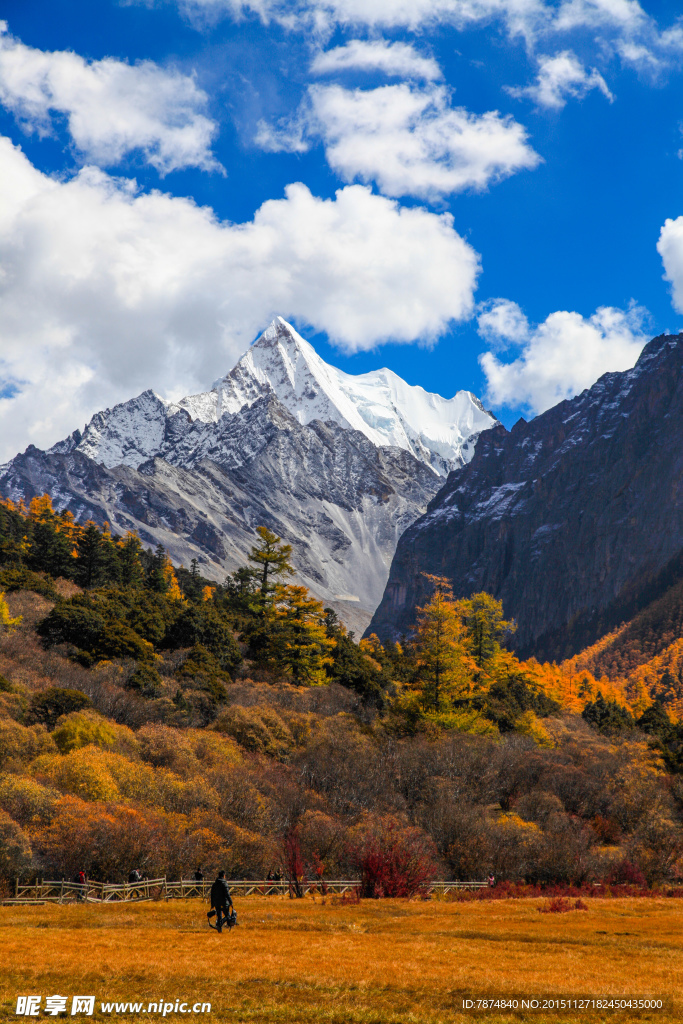 稻城雪山