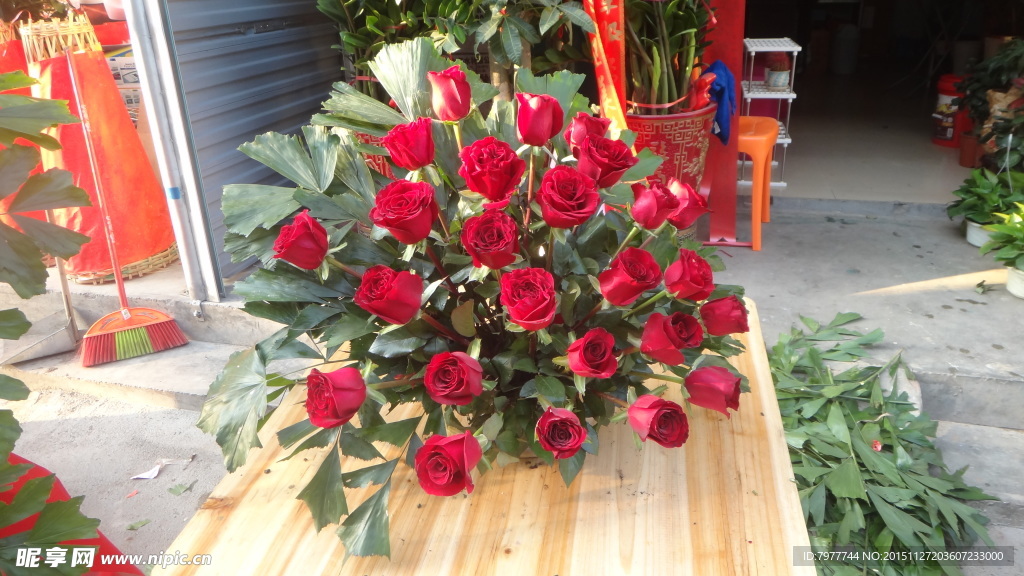 玫瑰花