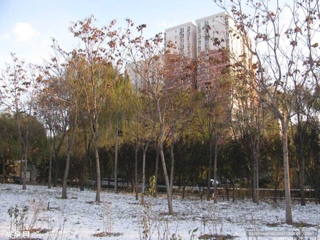 雪景