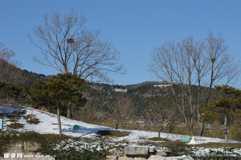 雪后的景色