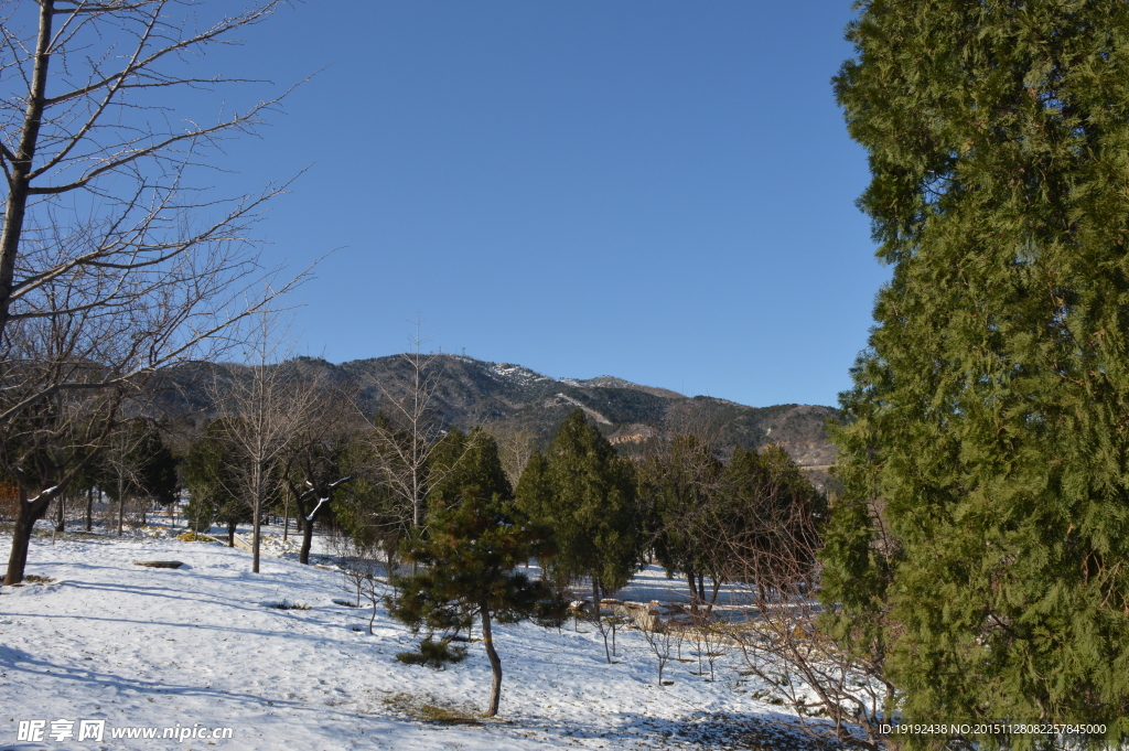 雪景