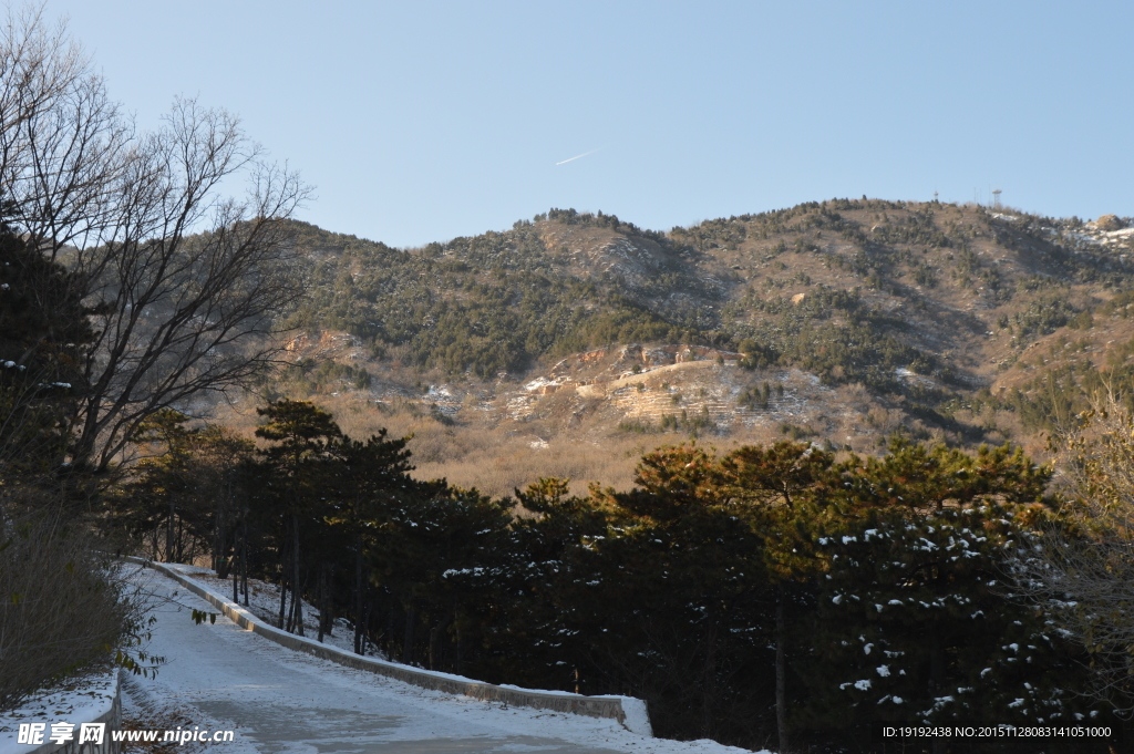 雪景