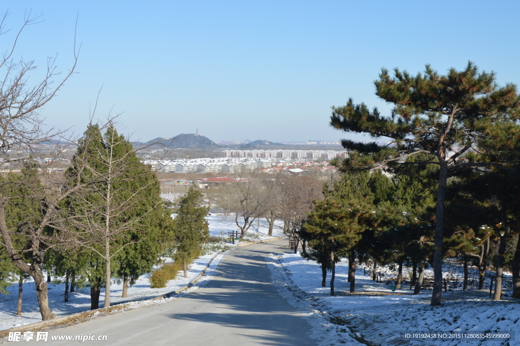 雪景