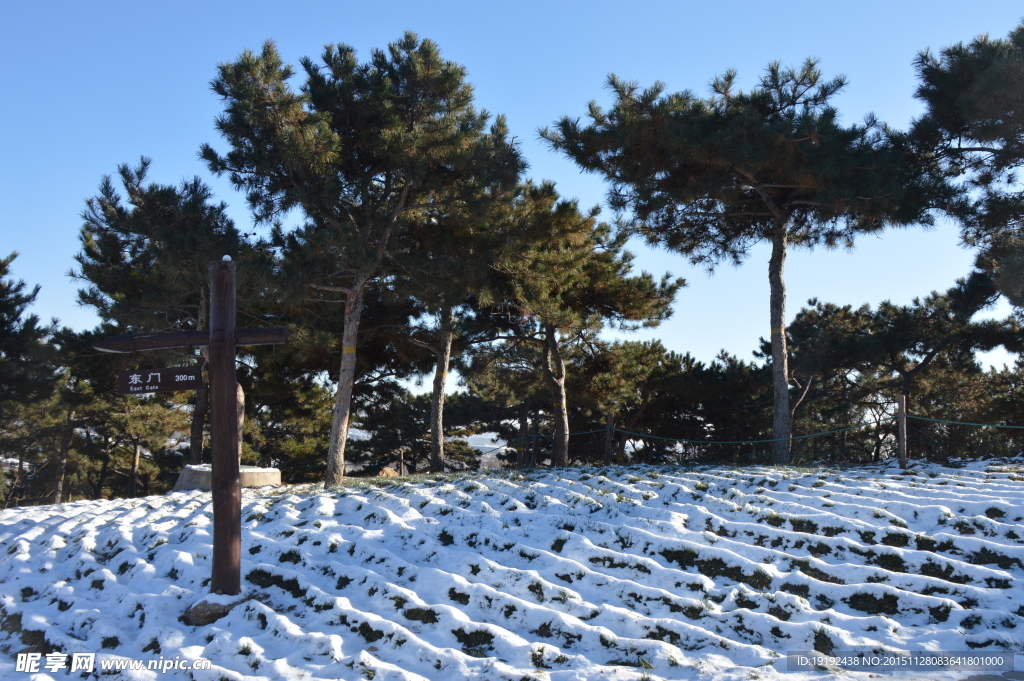 雪景