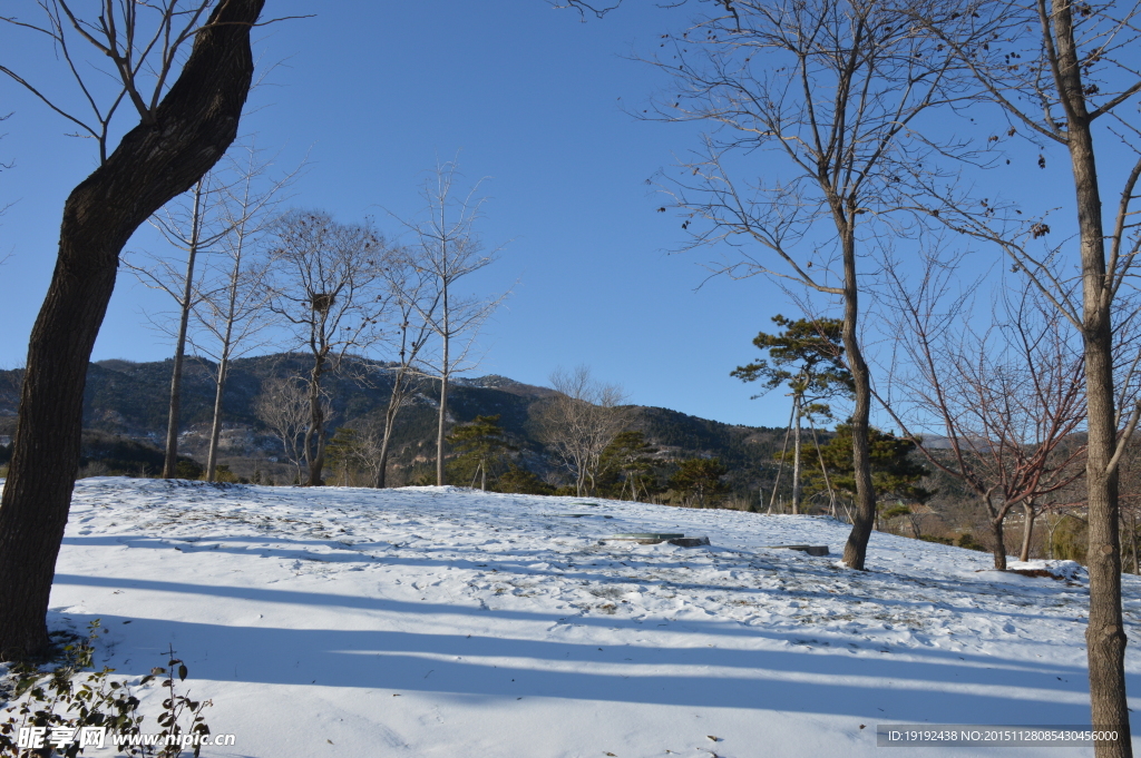 雪景