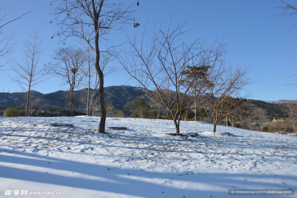 雪景