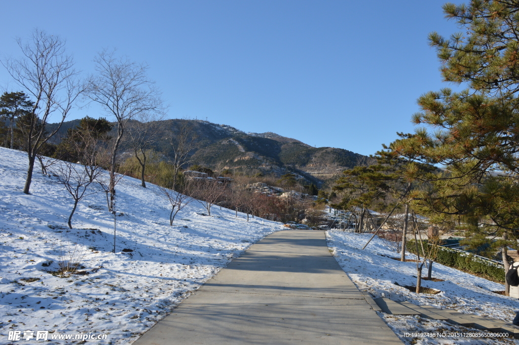 雪景