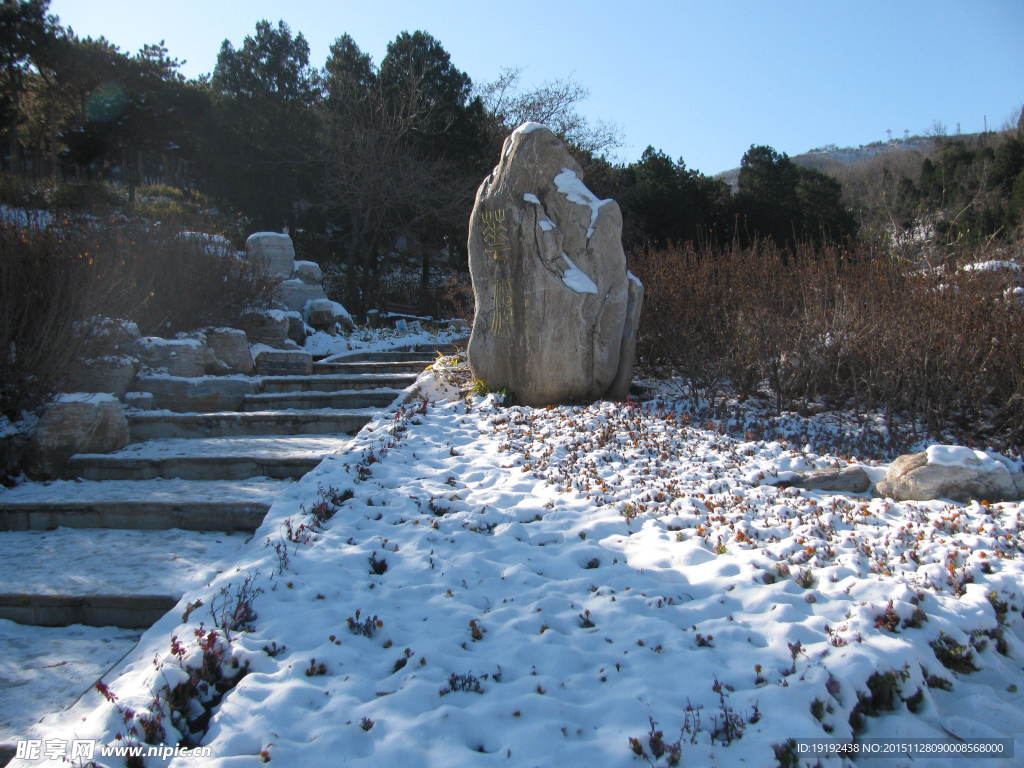 雪景