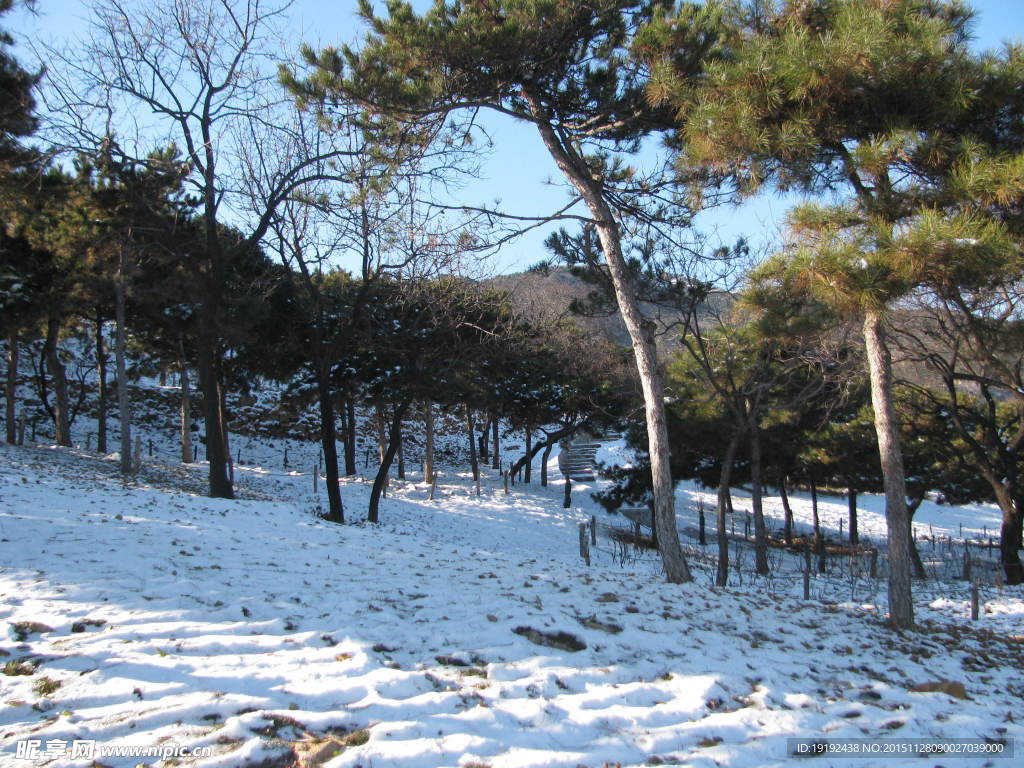 雪景