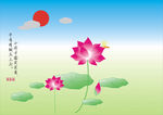 荷花图