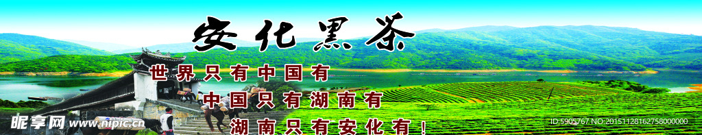 安化黑茶图片