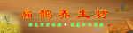 养生坊广告