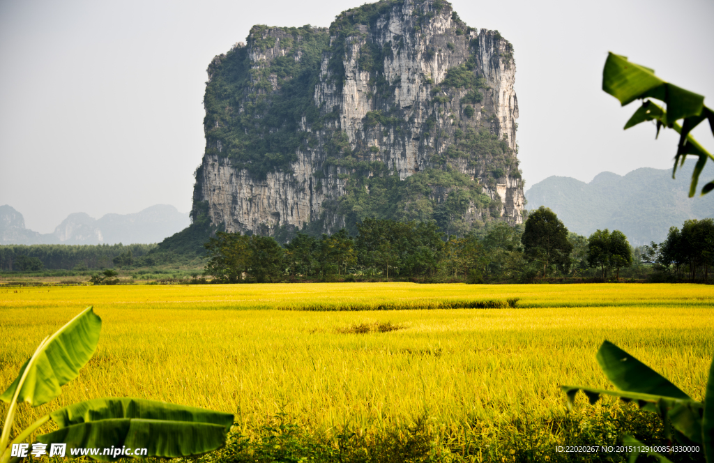 金秋影山