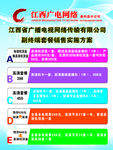 江西广电网络营销方案