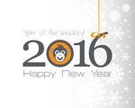 2016年设计