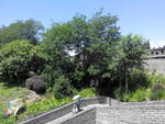 山海关老龙头风景区