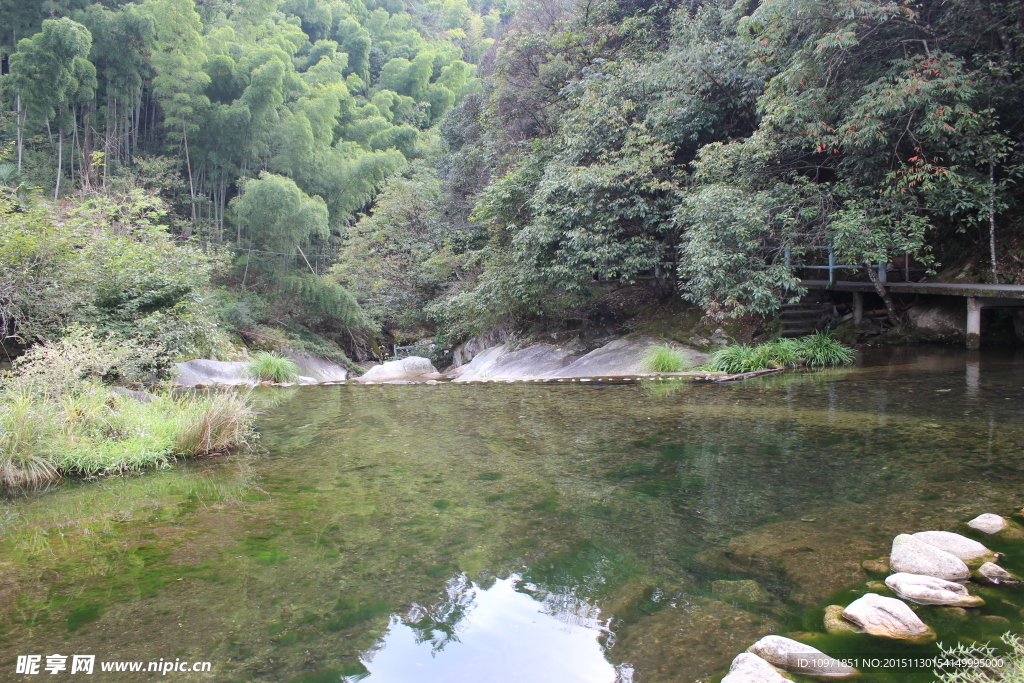 绿树 清水