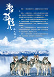 狼图腾海报