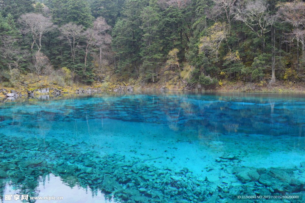 五花海