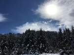山林雪景