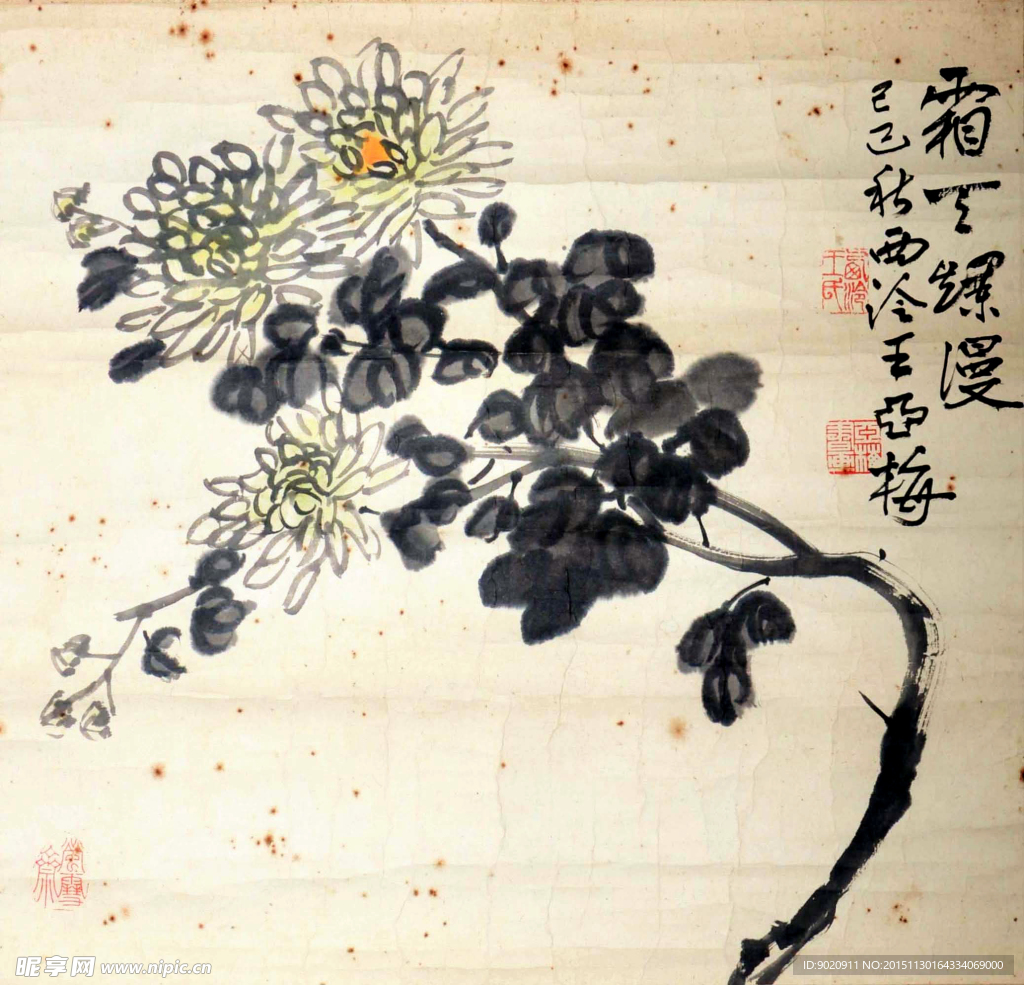 王亚梅 梅花