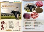 牦牛肉宣传单