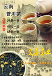 普洱茶