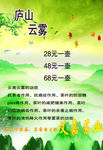 庐山云雾茶
