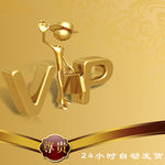 VIP  LOGO 设计 小人